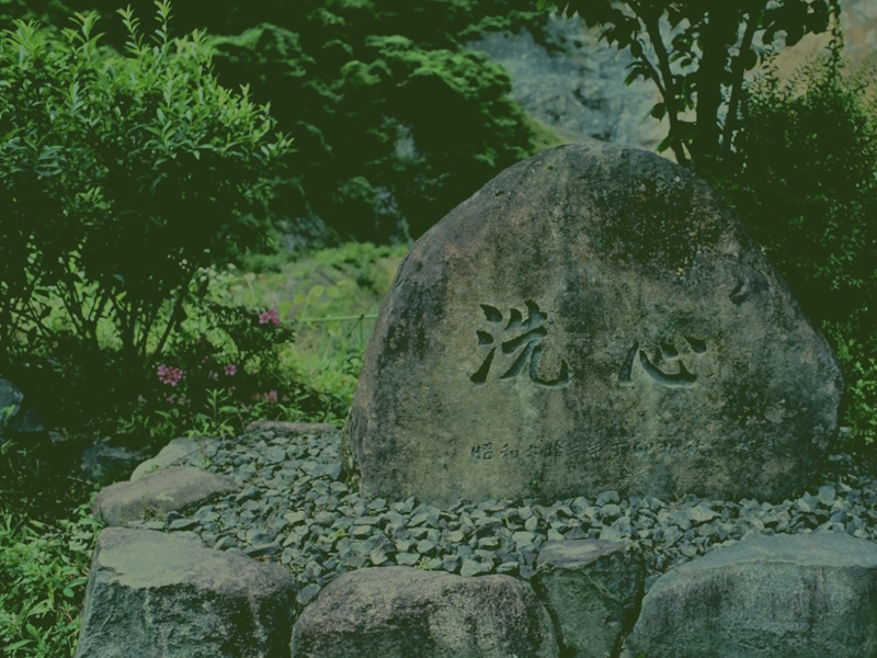 Image61